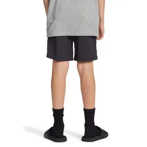 Children's shorts DC Shoes Late Daze image-3