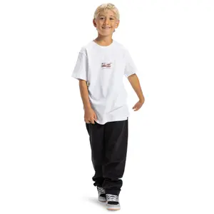 Camiseta infantil DC Shoes Handy Cam PH image-2