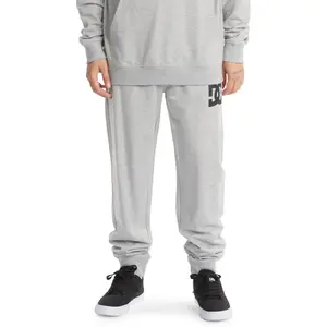 Pantalon de jogging DC Shoes Studley 213 image-1