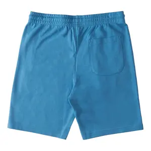 Short de bain DC Shoes Stuntly image-2