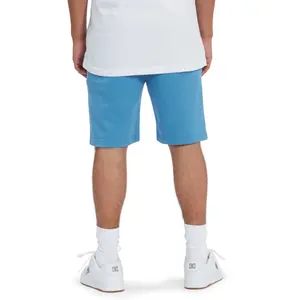 Short de bain DC Shoes Stuntly image-3