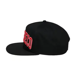Snapback cap DC Shoes University image-2