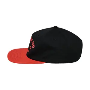 Snapback cap DC Shoes Pound Sand image-3