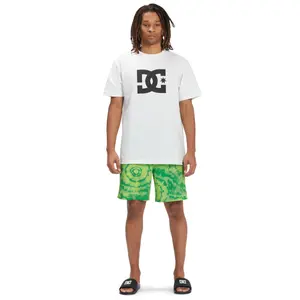 Short DC Shoes Unboxed 18 image-1