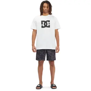 Short DC Shoes Unboxed 18 image-1
