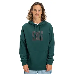 Hoodie DC Shoes Star PH image-1