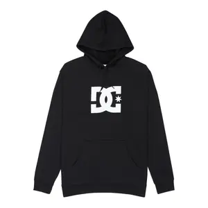 Hoodie DC Shoes Star PH
