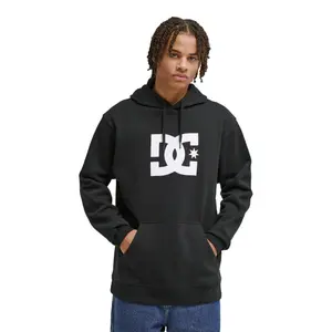 Hoodie DC Shoes Star PH image-1