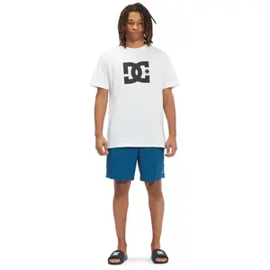 Short DC Shoes Late Daze 18 image-3