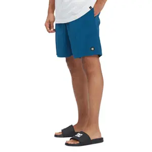 Short DC Shoes Late Daze 18 image-5
