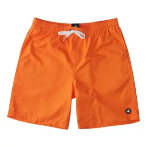 Short DC Shoes Late Daze 18 image-0