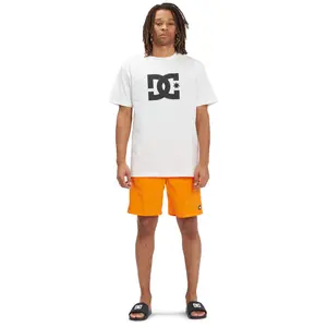 Short DC Shoes Late Daze 18 image-3