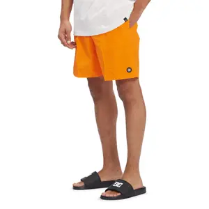 Short DC Shoes Late Daze 18 image-5
