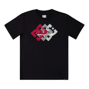 T-shirt DC Shoes Logo Ballad 211 image-0