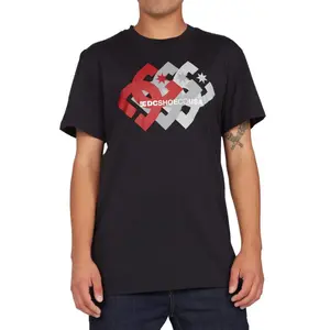 T-shirt DC Shoes Logo Ballad 211 image-2