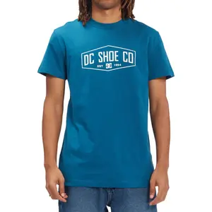 T-shirt DC Shoes Filled Out Tss image-1
