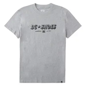 T-shirt DC Shoes Chester Tss image-0