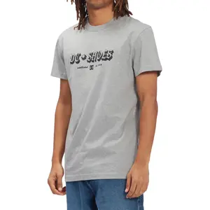 T-shirt DC Shoes Chester Tss image-3