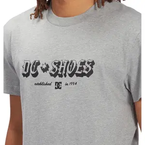 T-shirt DC Shoes Chester Tss image-6