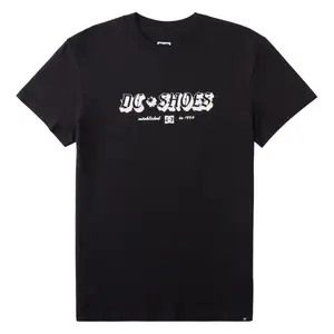 T-shirt DC Shoes Chester Tss image-0