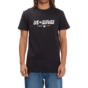 T-shirt DC Shoes Chester Tss image-1