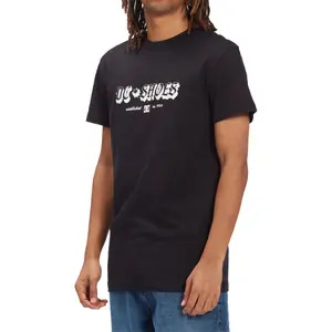 T-shirt DC Shoes Chester Tss image-3