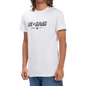 T-shirt DC Shoes Chester Tss image-3
