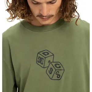 Long sleeve T-shirt DC Shoes Hi Rolling Hls image-6