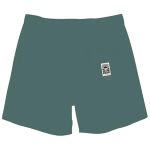 Zwemshort DCK Boardshorts Inglorious image-1