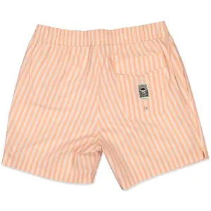 Swim shorts DCK Broadshorts Pinestripe image-1