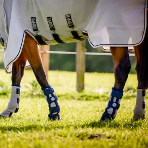 Σαμαράκια κατά των σφουγγαριών για άλογα Horseware image-3