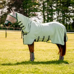 Σαμαράκια κατά των σφουγγαριών για άλογα Horseware image-2