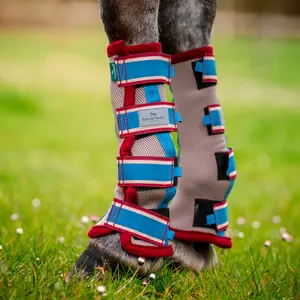 Σαμαράκια κατά των σφουγγαριών για άλογα Horseware image-2