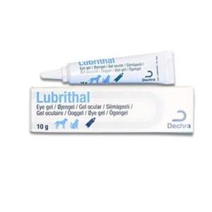 8089583-ooggel-dechra-lubrithal-wit-10-g