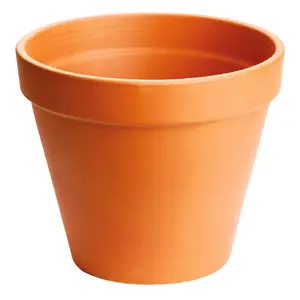 Vaso standard Décolines Ancestral image-0