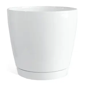 Egg pot and saucer Décolines Sublime image-0