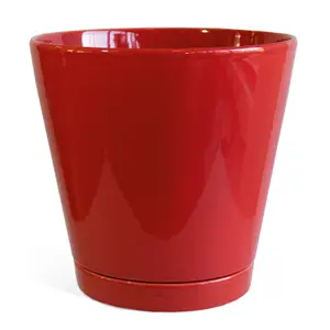 Vaso conico + piattino Décolines Sublime Ø 25 image-0