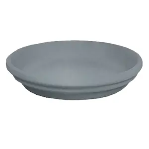 Saucer Décolines Raimbow image-0