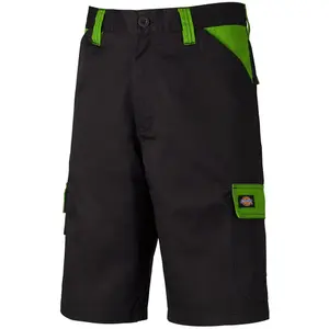 Rövid Dickies Everyday image-1