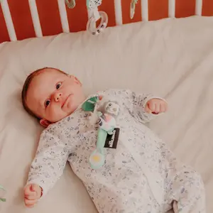 Dudlík přívěsek Deglingos Chillos Le Paresseux image-1