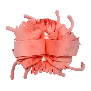 Peluche Deglingos Ptipotos Meduse Maman/Bebe image-3