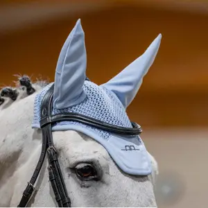 Fliegenhaube Alessandro Albanese image-0