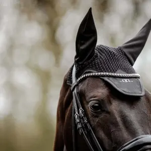 Fliegenhaube Alessandro Albanese image-3