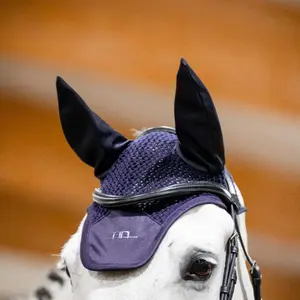 Fliegenhaube Alessandro Albanese image-2