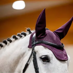 Fliegenhaube Alessandro Albanese image-1