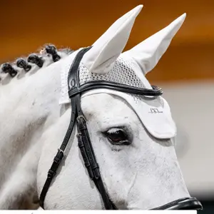 Fliegenhaube Alessandro Albanese image-1