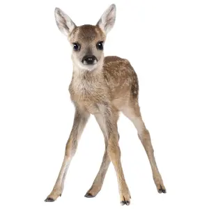Αυτοκόλλητα μωρού Dekornik Lucy My Deer image-0