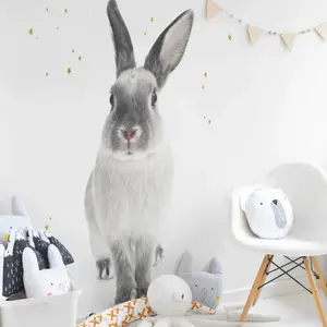 Αυτοκόλλητα μωρού Dekornik Harry The Rabbit image-1