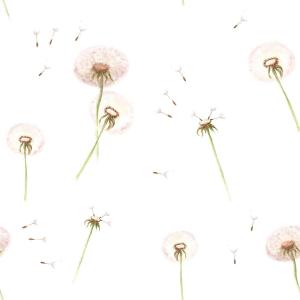 deko-tap-069-baby-behang-dekornik-dandelions-wit-280x50-cm
