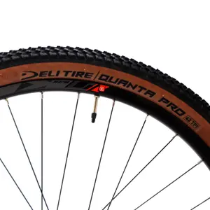 Copertone bici Deli Tire SA-270 Quanta Pro TubeType 54-584 image-1